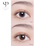 คอนแทคเลนส์ Mini bom Gray/Brown (Kitty Kawaii) ขนาดมินิ