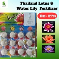Thailand Baja Lotus Water Lily &amp; Tumbuhan Air 莲花