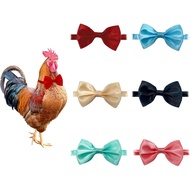6 Keping Ikatan Reben Ayam, Topi Ayam, Kolar Ayam, Kolar Ayam Jantan, Reben Hamster, Reben Burung Be