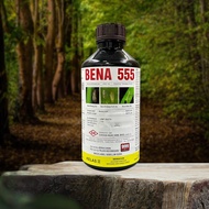 1L Bena 555 / Bena Hijau / Bena Perang / Pianggang / Belalang / Lelompat Daun / Kutu Beruang