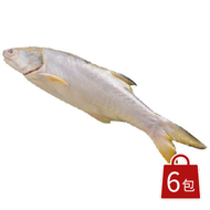 【漁爸fish8】(6尾免運)現流午仔魚230g/尾