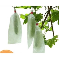 100 bags of avocado, guava, mango, custard apple, and jackfruit fruit with steel wire at the top of 