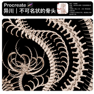 บรัชกระดูก Procreate