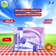Mila Gros Alkaline Water - 1 Box of 12 Bottles, High pH 9.8, Natural Mineral, Antioxidant