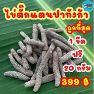 🦗 ไข่ตั๊กแตนปาทังก้า 1ขีด ฟรี 20กรัม 359฿ พิเศษ 7 วัน เท่านั้น ‼️