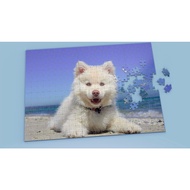 Sample 7 - Print On Request