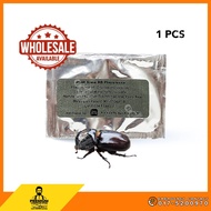 SIME DARBY Rhinoceros Beetle Trapping Pheromone Coconut Oil Palm Feromon Perangkap Kumbang Tanduk Ke
