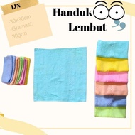 Grooming Towel 30x30 Cat Dog