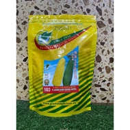 Benih Jagung Manis Tropical Master Hibrid F1 GE1603 (Repack 10gm)