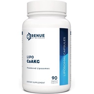 RENUE by SCIENCE CA AKG Supplement | Liposomal Calcium AKG | 90 Calcium Alpha-Ketoglutarate Capsules