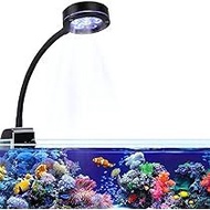 Marine Reef LED light (1ft)