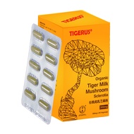 Tigerus Tiger Milk Mushroom Sclerotia 300mg (60s) 虎乳芝 老虎奶