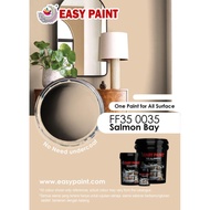 EASY PAINT (COLOUR: SALMON BAY, CODE: FF35 0035) 1L & 5L