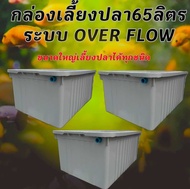 อ่างเลี้ยงปลา 65 ลิตร overflow ขนาด64xx44x31ซ. (กล่องสีขาวครีม) กะบะเลี้ยงปลา อ่างเลี้ยงปลา อ่างเลี้
