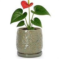 D'vine Dev 5 Inch Embossed Leaves Stoneware Planter Pot with Drainage Hole and Saucer, Olive, 27-A-V