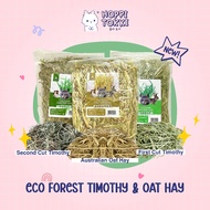 Eco Forest Canada Timothy Hay First Cut / Second Cut / Australia Oat Hay 500g for rabbits, guinea pi