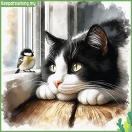✿ keepdreaming ✿  DIY Cat Oil Painting Kit on Canvas 15.75x15.75inch Without Frame  by Numbers for B