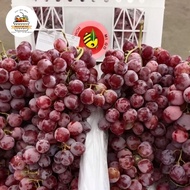 Ready Gan Buah Anggur Red Globe 1 Krat / Buah Anggur Ready Gan