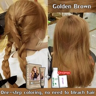 2024 Best Sellers hair dye STYLE FIT No need to bleach hair hair colour inai rambut hair color pewar