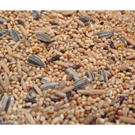 Hamster food Racik 1kg Hamster Food Makanan Hamster