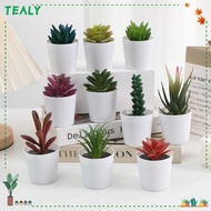TEALY Artificial Succulent Bonsai, Fake Plants Desk Decoration Succulent Bonsai Plants, Ornament Pla