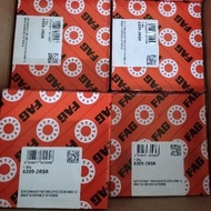 Genuine FAG bearing with plastic cap 6302