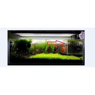Aquarium Isolation Box Fish