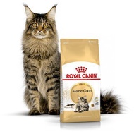 WHY Royal Canin Mainecoon Adult 2kg