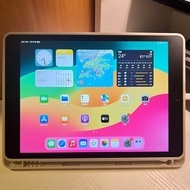 iPad 第8代 128gb wifi版