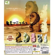 Asari Japanese Version Gashapon Moai Animal Easter Island