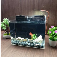 Aquarium with Filter 25x15x20 cm 3 mm Acrylic Material
