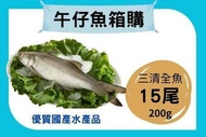 【全國漁會】午仔魚三清全魚200g(箱購)