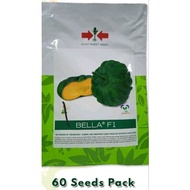 BELLA F1 (60 SEEDS) ASENSO PACK HYBRID CALABASA BY EAST WEST SEEDS