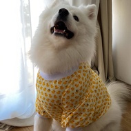 Dog Elbow Pad Clothes Samoyed Labrador Pet Anti-Dirty Artifact Knee Pad Anti-Wear out Medium Large D