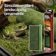 YTAR  Rainforest Reptile Carpet Washable Moss-Like Substrate Mat Moisture-Retaining Soft Terrarium L