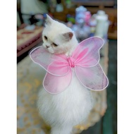 Fairy wings - angel wings - bat wings for dogs and cats