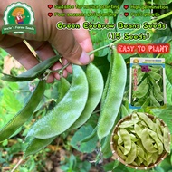 15seeds High Yield Green Eyebrow Beans Seeds for Planting Vegetables Plants Green Bataw Bitsuwelas H