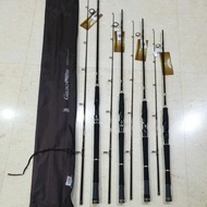 FENWICK GOLDEN WING HEAVY ROD