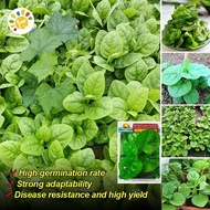 150 Seeds/pack Large Leaf Malabar Spinach Seed Potted Fresh Vegetable Seeds for Planting Easy To Gro