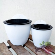 [Pot] Auto Self Watering Pot Hanging Auto Watering Pot 懒人自动浇水盆 by LS Group