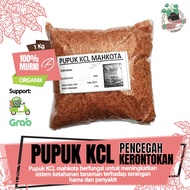 PUPUK TANAMAN TUMBUHAN BUAH KCL MAHKOTA ORIGIN CANADA MOP REPACK 1KG PUPUK TANAMAN KCL MAHKOTA PENCE