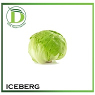 [BUTTERWORTH] Iceberg - Per Pcs
