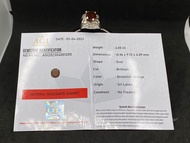 Natural Rhodolate Garnet Memo Cutting