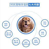 Pet Toothpaste OEM Manufacturer Clear Odor Clear Tartar Cat Dog Toothpaste OEM Edible Pet Toothpaste