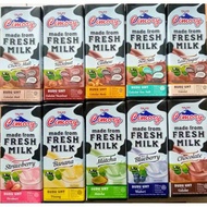 Y Uht FRESH MILK 250ML