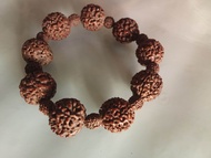 Jenitri gelang biji Papua besar mukhi 678 variasi sekat Jenitri kecil