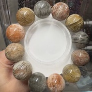 千層四季幽靈19-19.8mm（罕有灰藍色千層）
