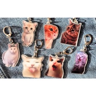 Cat Meme Tiktok Viral Funny Keychain | Cute Cats Gift Pendant Keyring | Cat Lover Funny Cats Gift | 