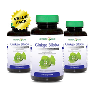 Herbal One Ginkgo Biloba 3x100 Capsules เฮอร์บัลวัน สารสกัดจากใบแป๊ะก๊วย จาก อ้วยอันโอสถ (Value Pack)