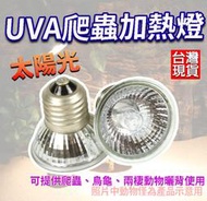 烏龜曬背燈 保溫燈  加熱燈  uva+uvb 加熱燈 爬蟲燈 爬蟲加熱燈 取暖燈 寵物保暖燈泡 陸龜燈 曬背燈泡 燈泡